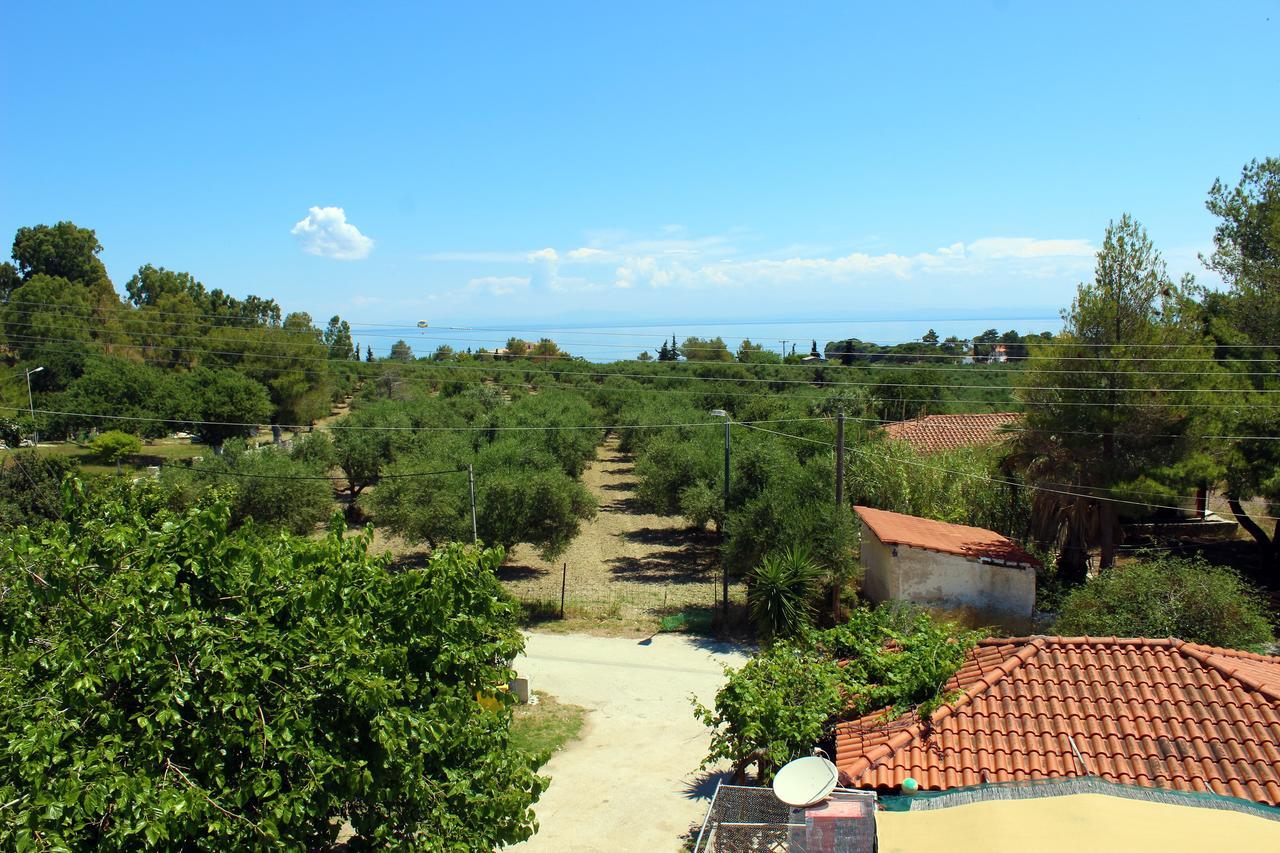 Zante Yliessa Appartement Vasilikí Buitenkant foto